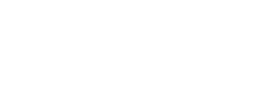 Nexx Motels logo